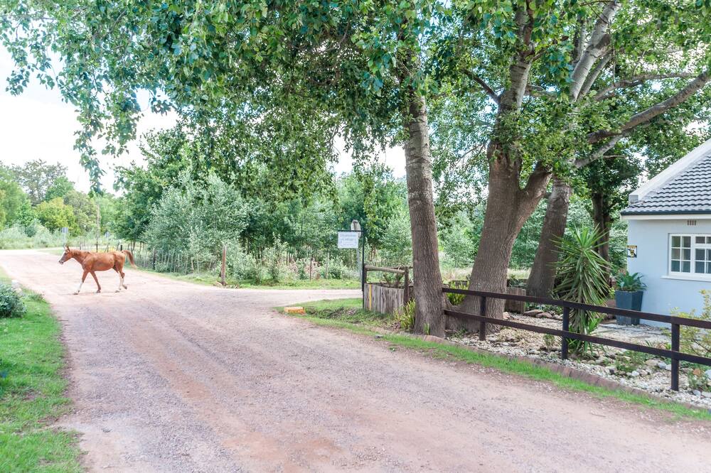 Photo of Outdoor in Greyton