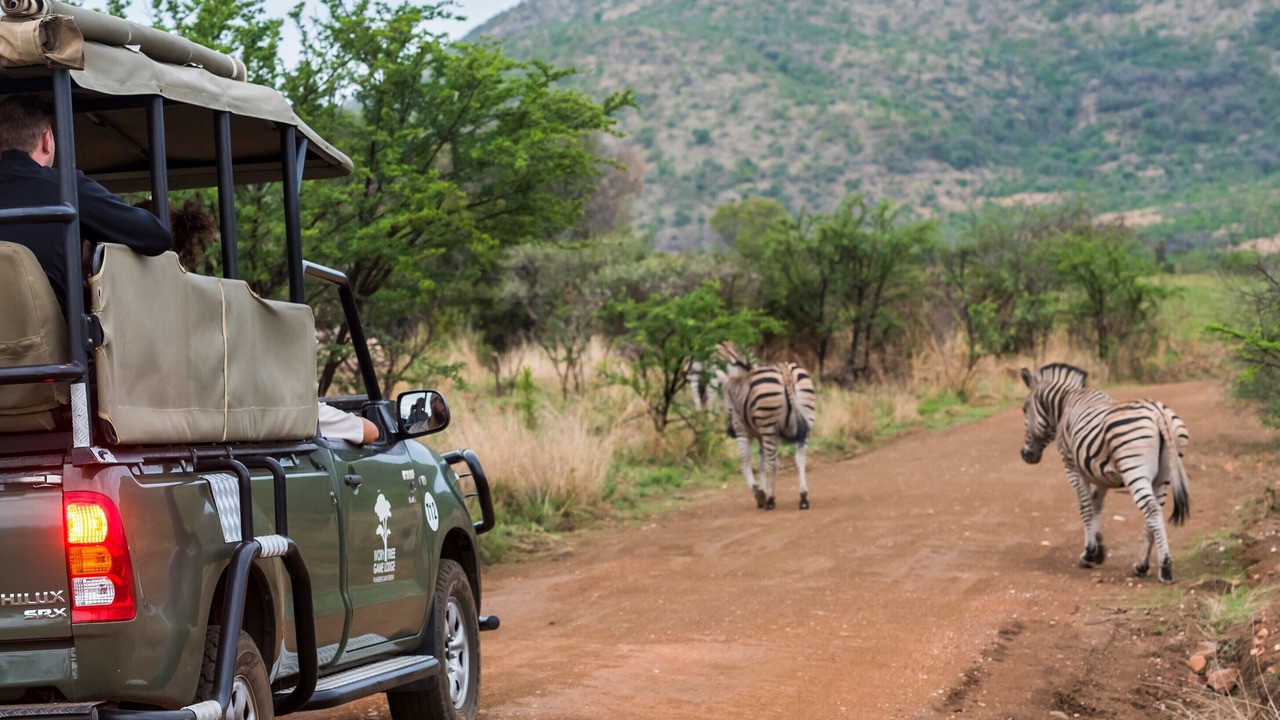 Photo of Others in Pilanesberg National Park