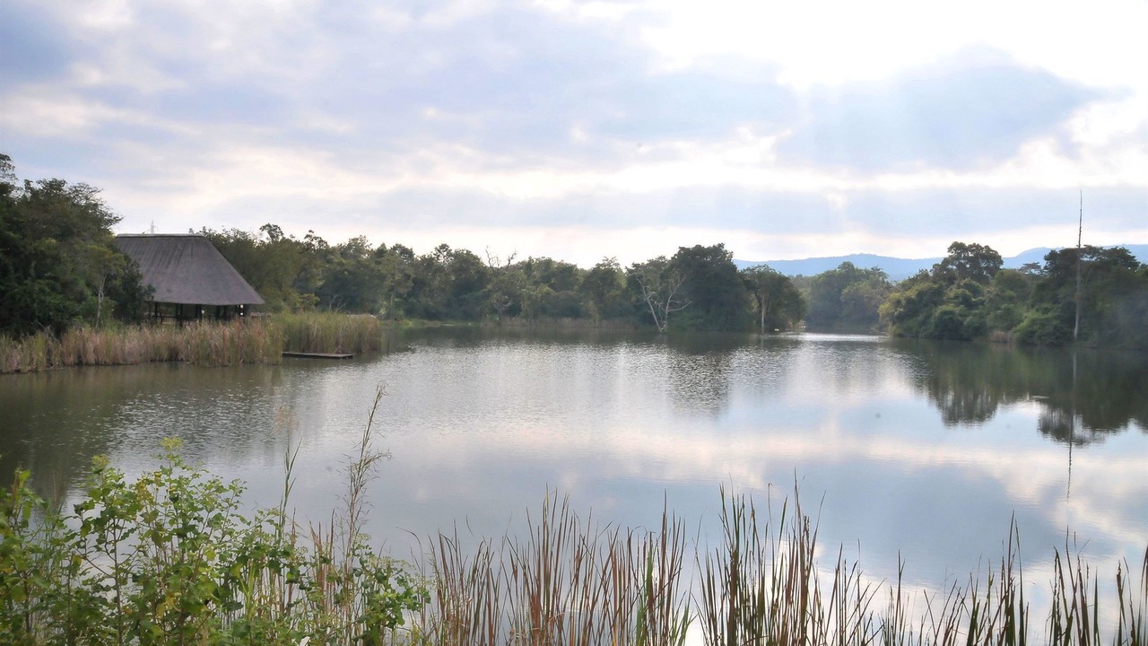 Photo of Outdoor in Greater Tzaneen