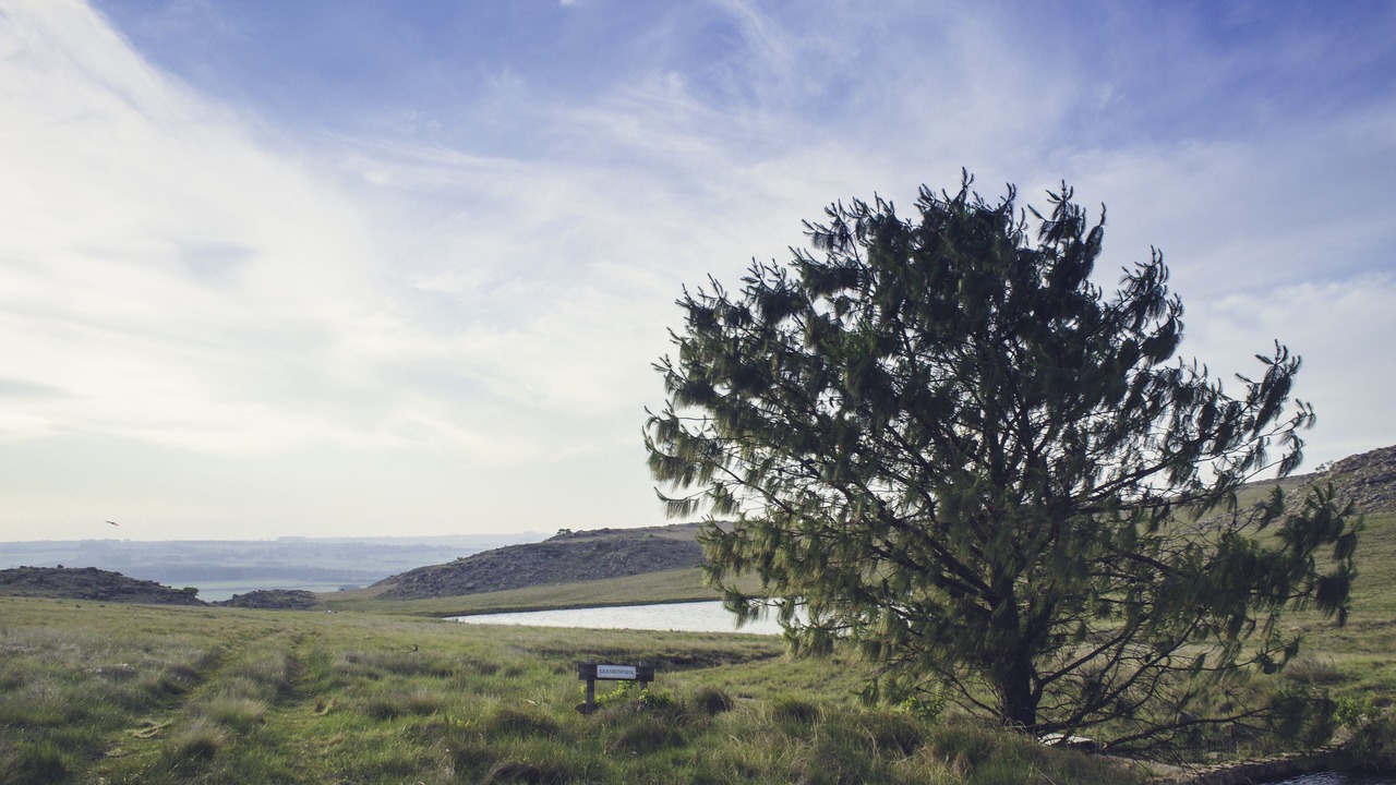 Photo of Outdoor in eNtokozweni