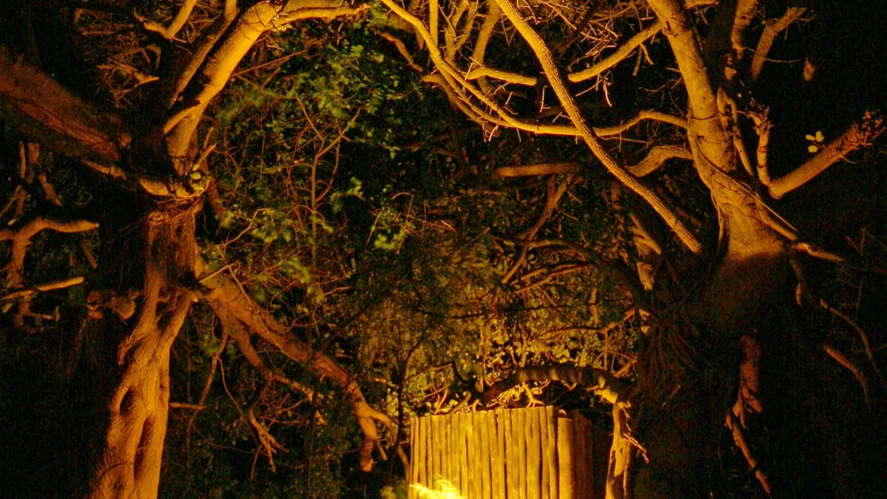 Photo of Outdoor in Hluhluwe