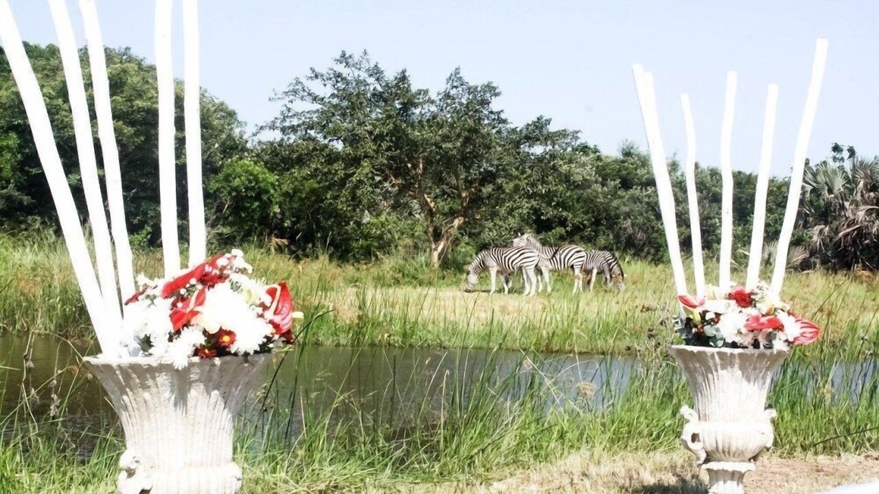 Photo of Outdoor in Hluhluwe