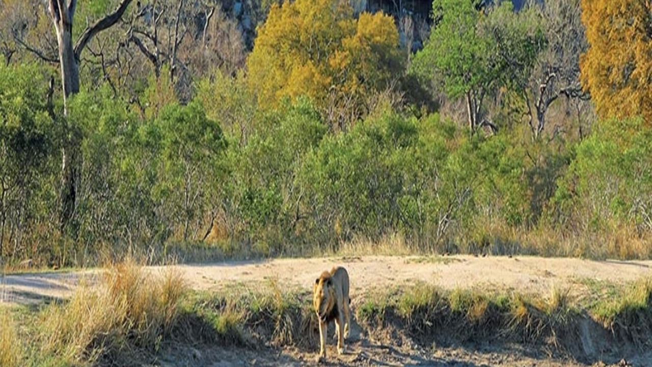 Photo of Outdoor in Thorny Bush Game Reserve