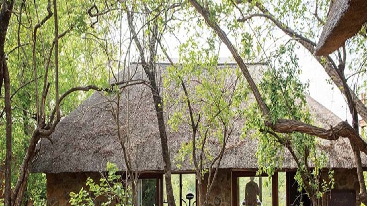 Photo of Others in Thorny Bush Game Reserve