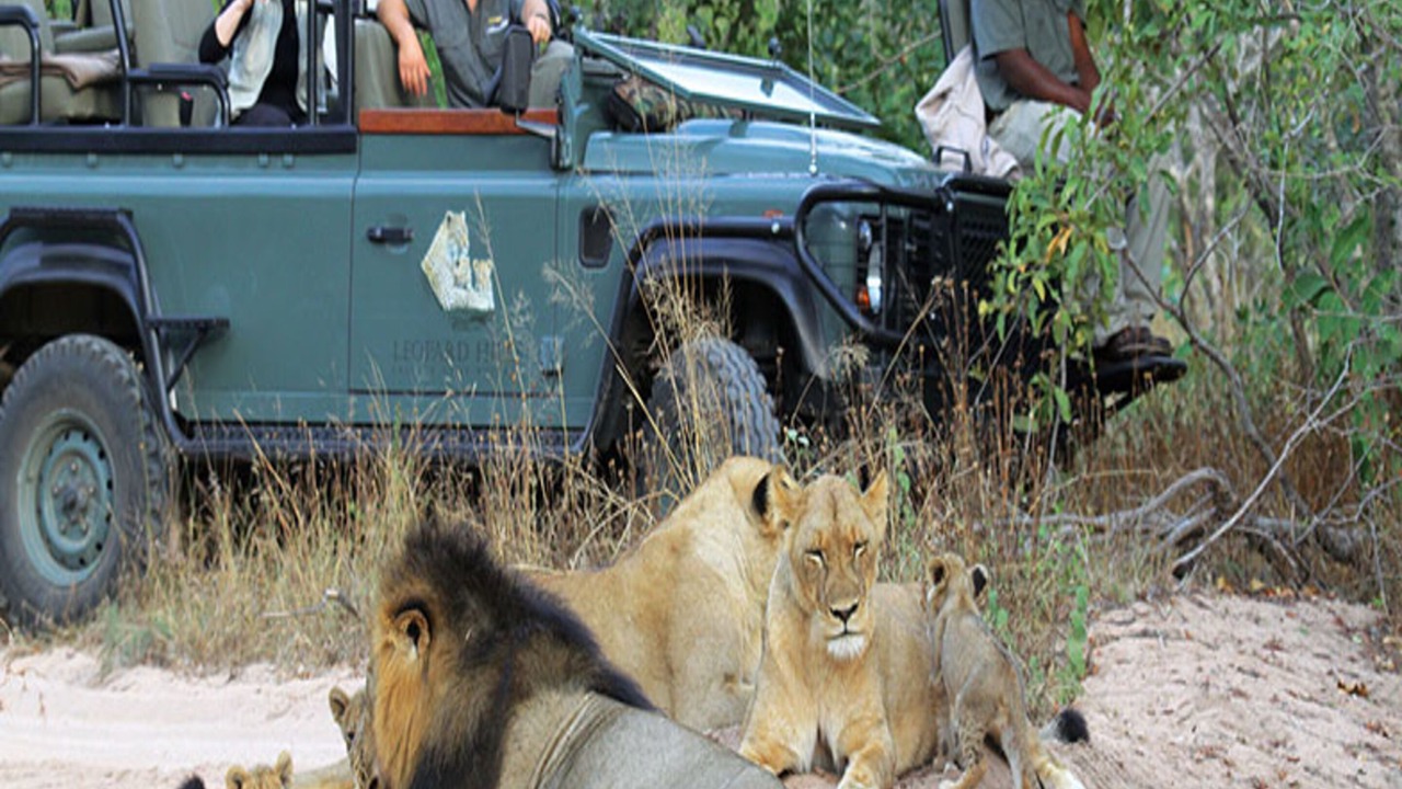 Photo of Others in Thorny Bush Game Reserve