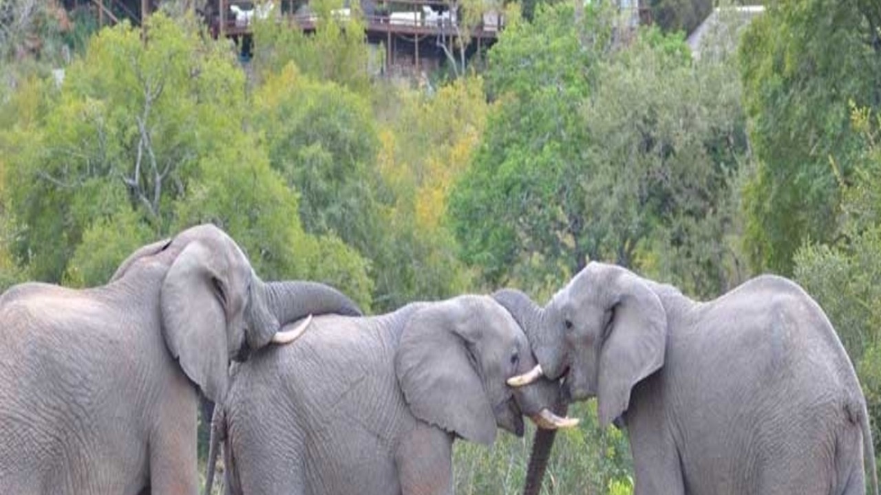 Photo of Outdoor in Thorny Bush Game Reserve