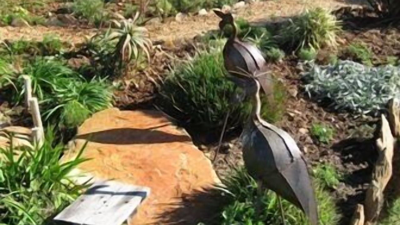 Photo of Outdoor in Jeffreys Bay