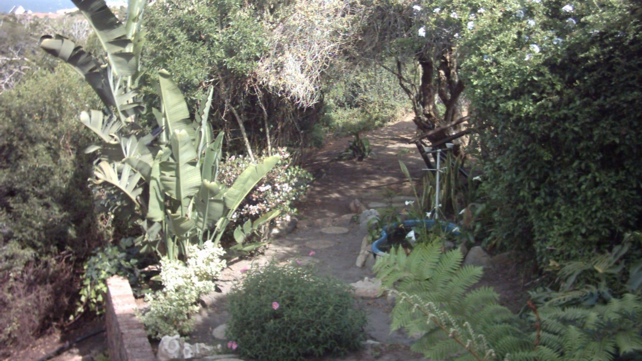 Photo of Outdoor in Jeffreys Bay