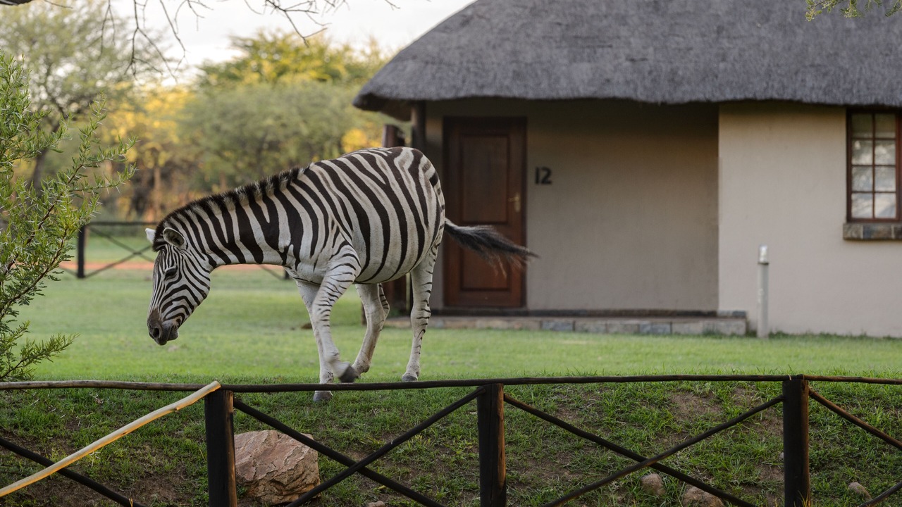 Photo of Outdoor in Hammanskraal