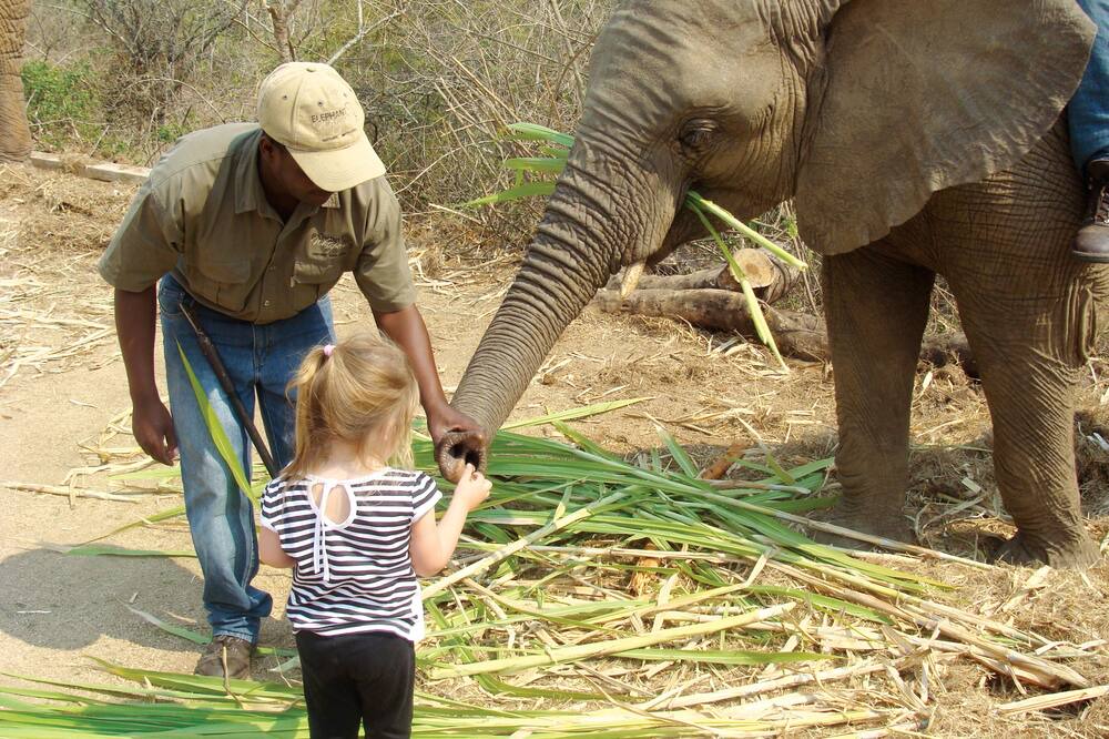 Photo of Others in Thorny Bush Game Reserve