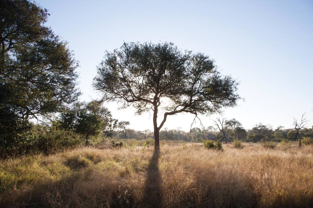 Photo of Outdoor in Thorny Bush Game Reserve