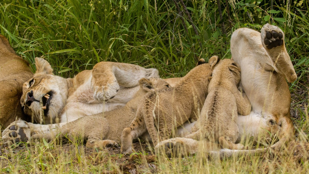 Photo of Others in Maruleng