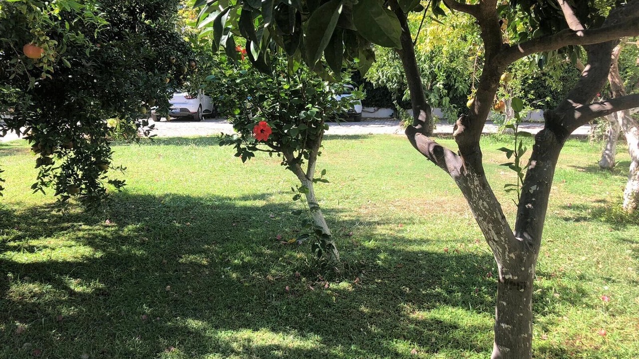 Photo of Outdoor in Camyuva