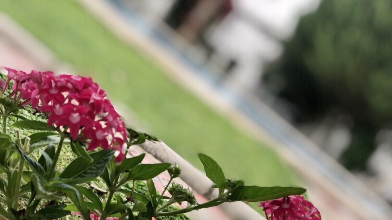 Photo of Outdoor in Camyuva