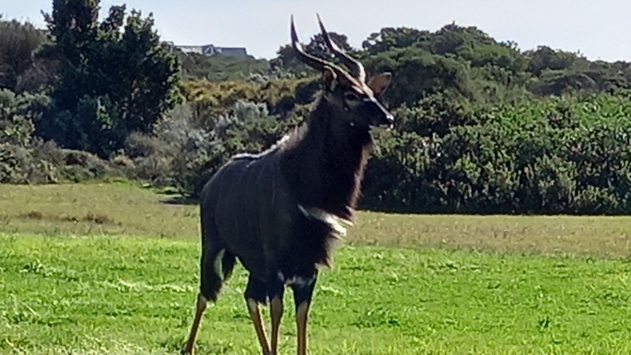 Photo of Outdoor in Saint Francis Bay