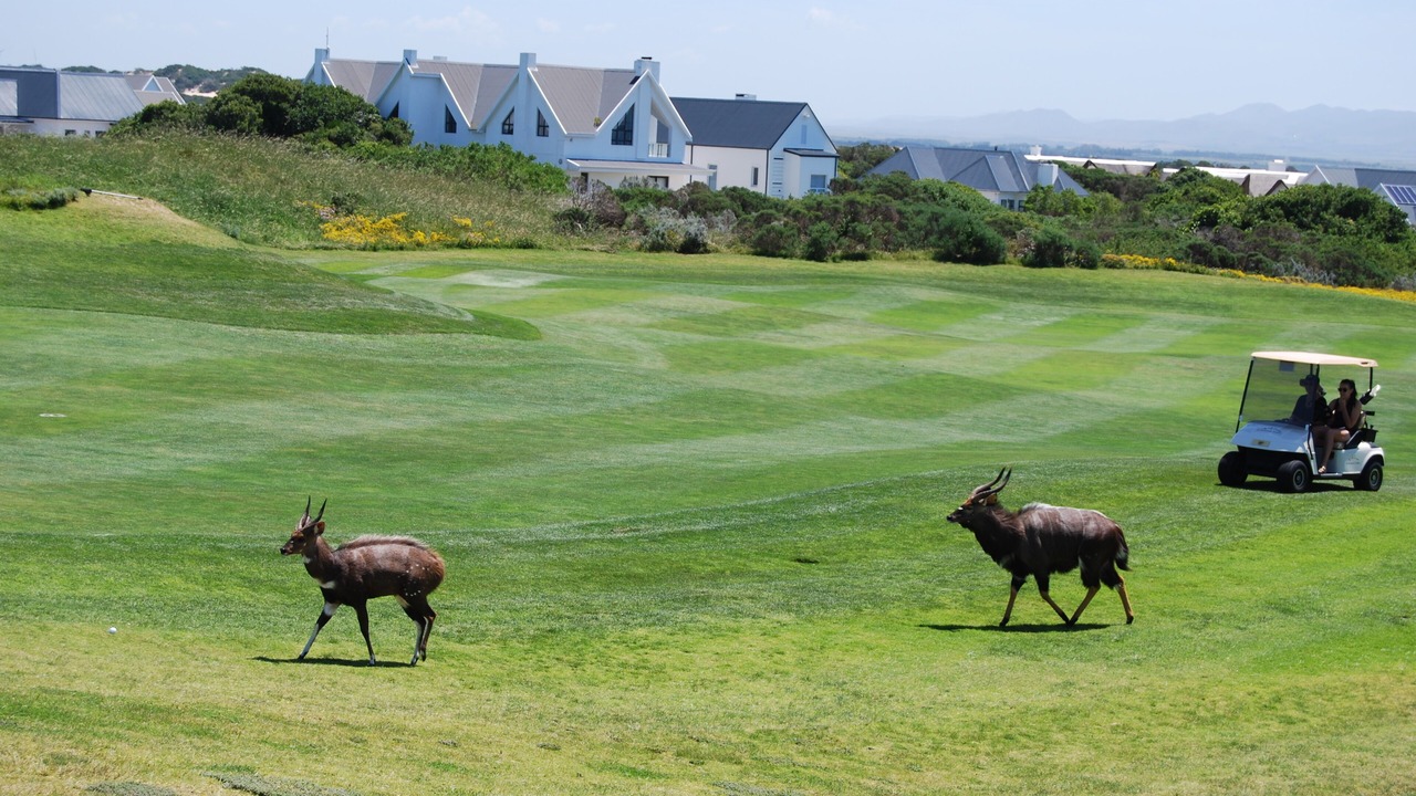 Photo of Others in Saint Francis Bay