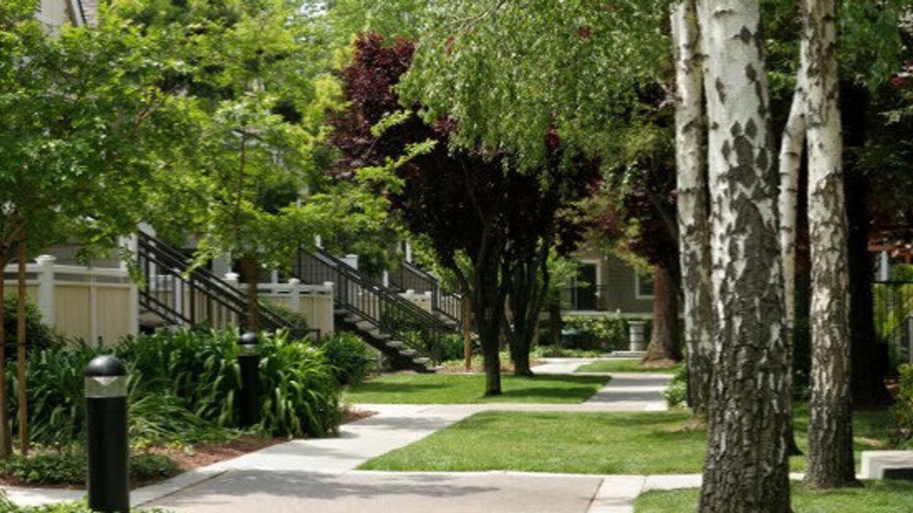 Photo of Outdoor in Santa Clara