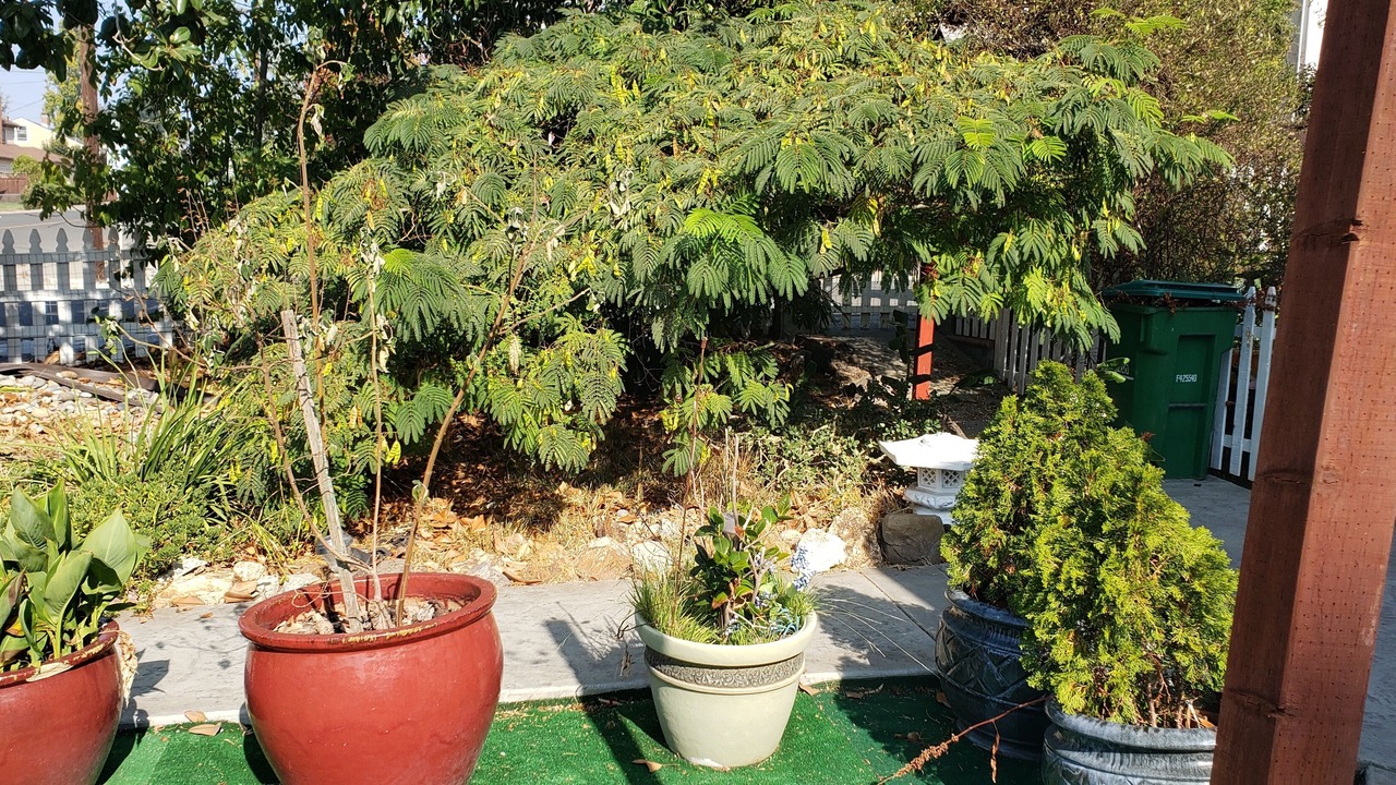 Photo of Outdoor in San Leandro