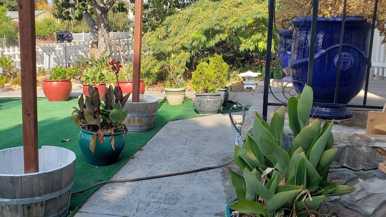 Photo of Outdoor in San Leandro