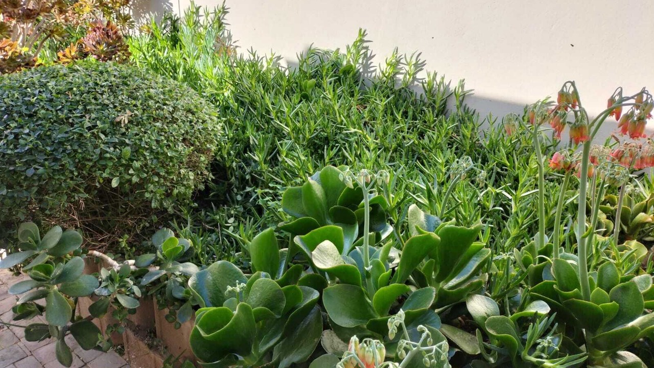 Photo of Outdoor in Strand