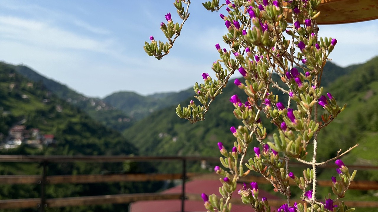 Photo of Outdoor in Cayirduzu
