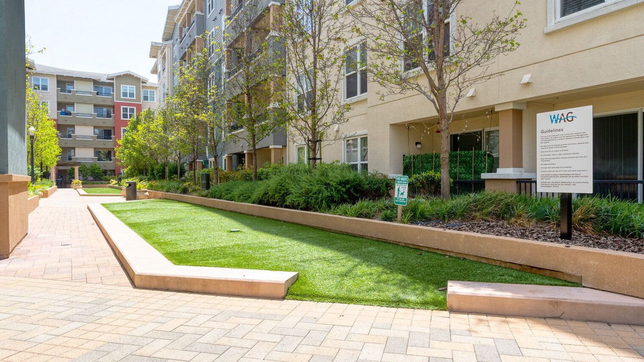 Photo of Outdoor in San Bruno