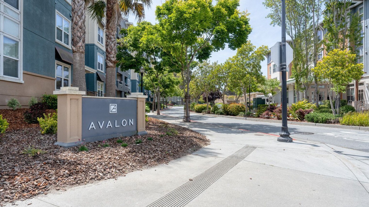 Photo of Outdoor in San Bruno