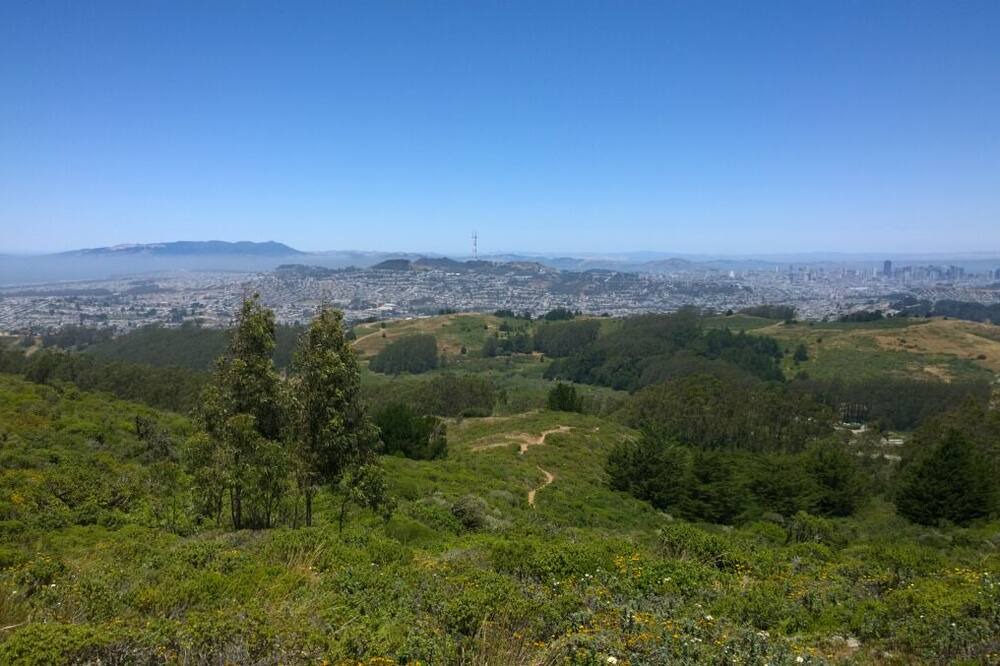 Photo of Others in South San Francisco