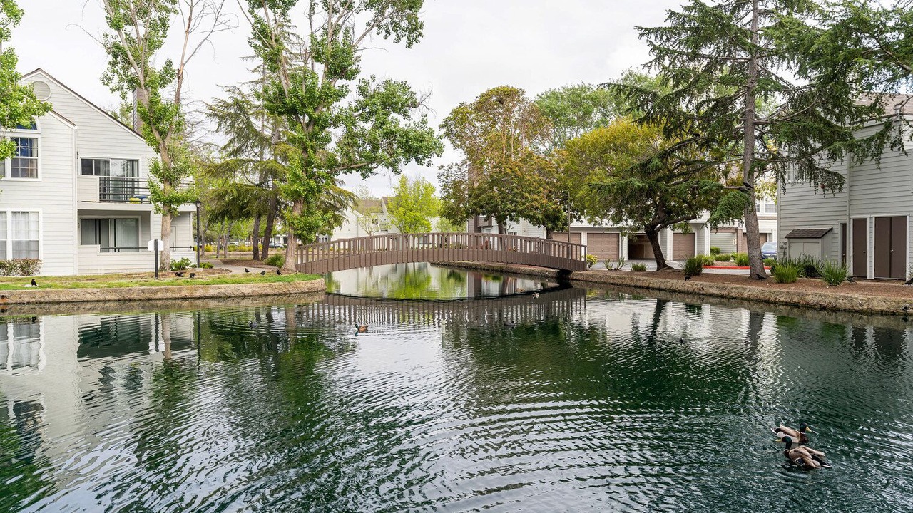 Photo of Outdoor in Foster City
