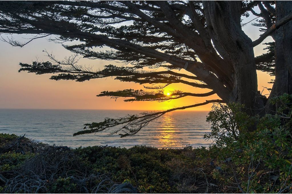 Photo of Others in Moss Beach
