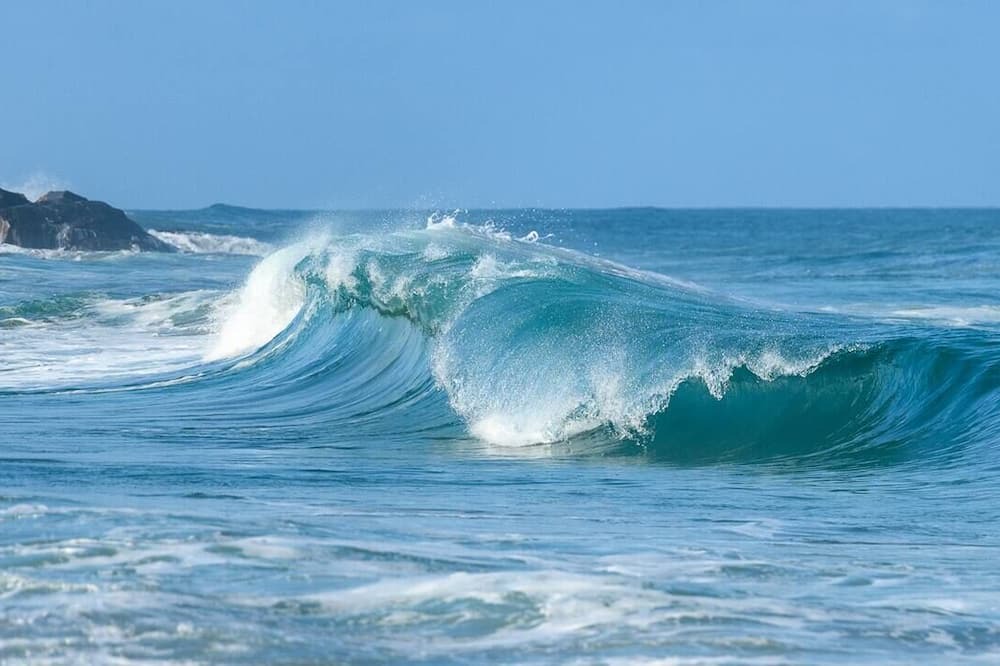 Photo of Others in Palm Beach