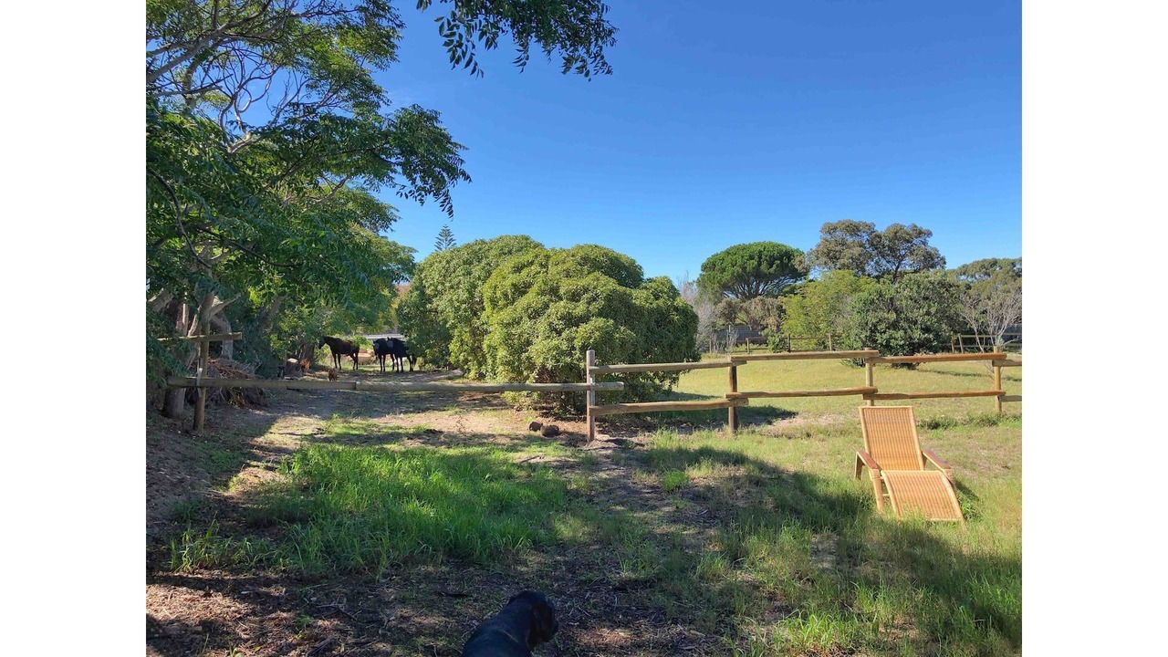 Photo of Outdoor in Noordhoek
