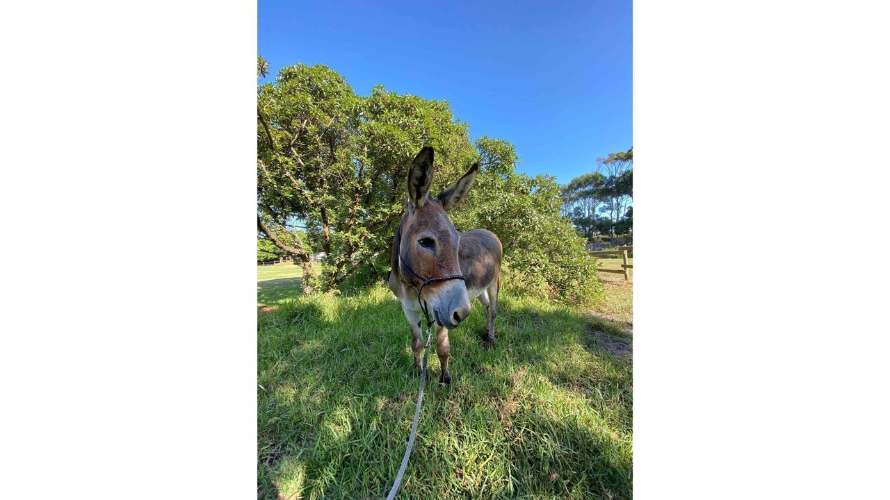 Photo of Outdoor in Noordhoek