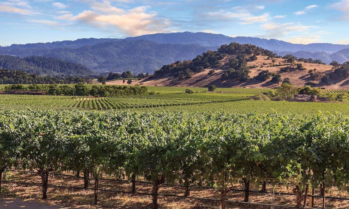 Photo of Outdoor in Napa