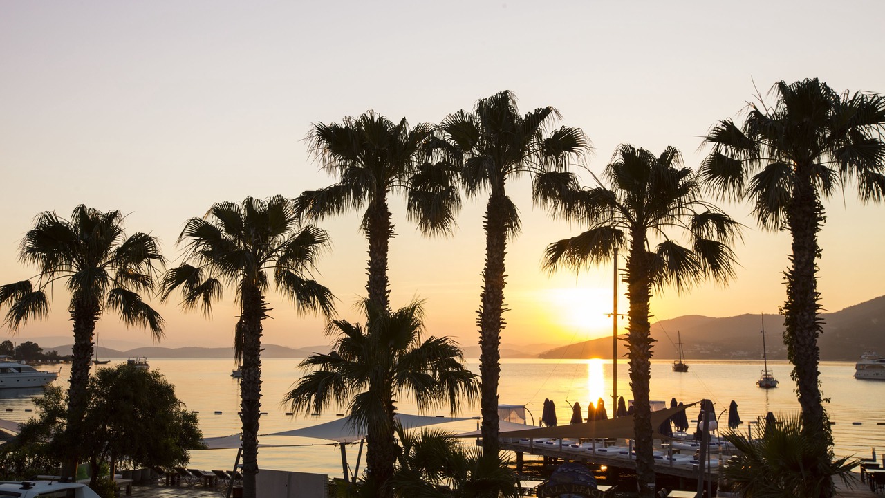 Photo of Outdoor in Torba