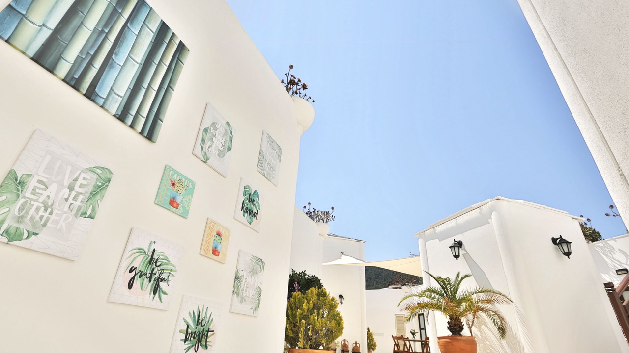 Photo of Others in Torba