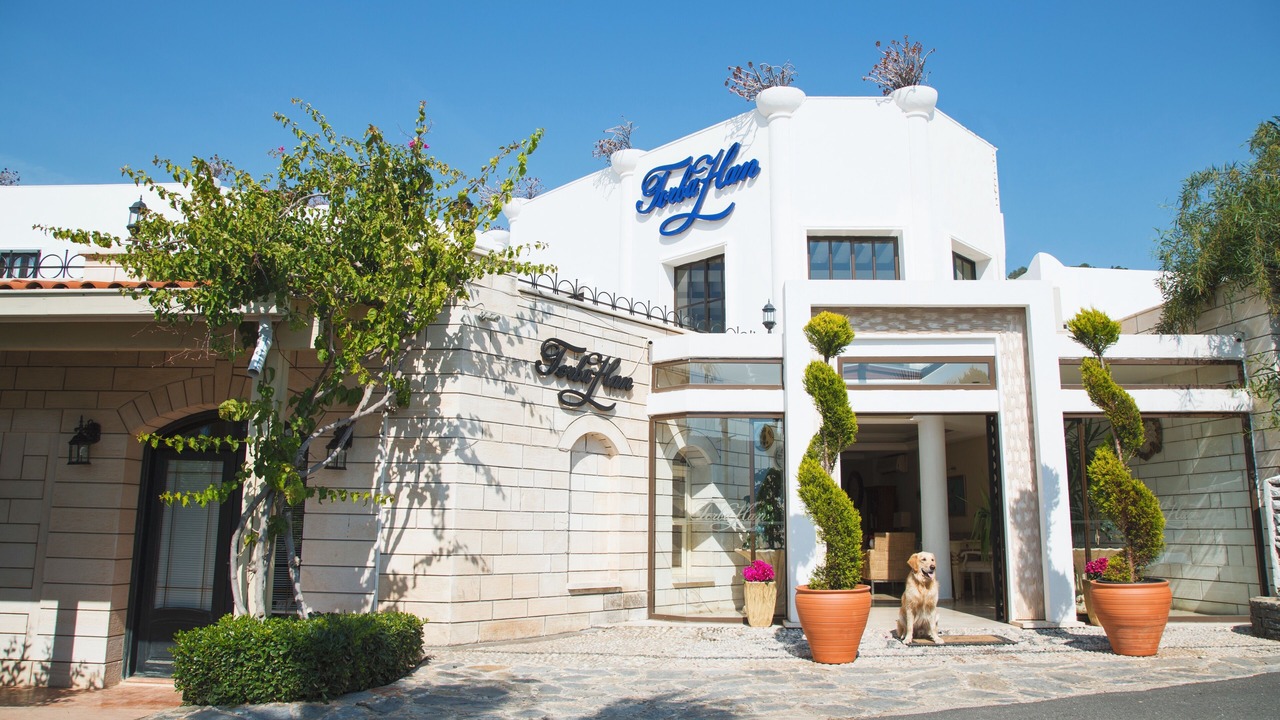Photo of Outdoor in Torba
