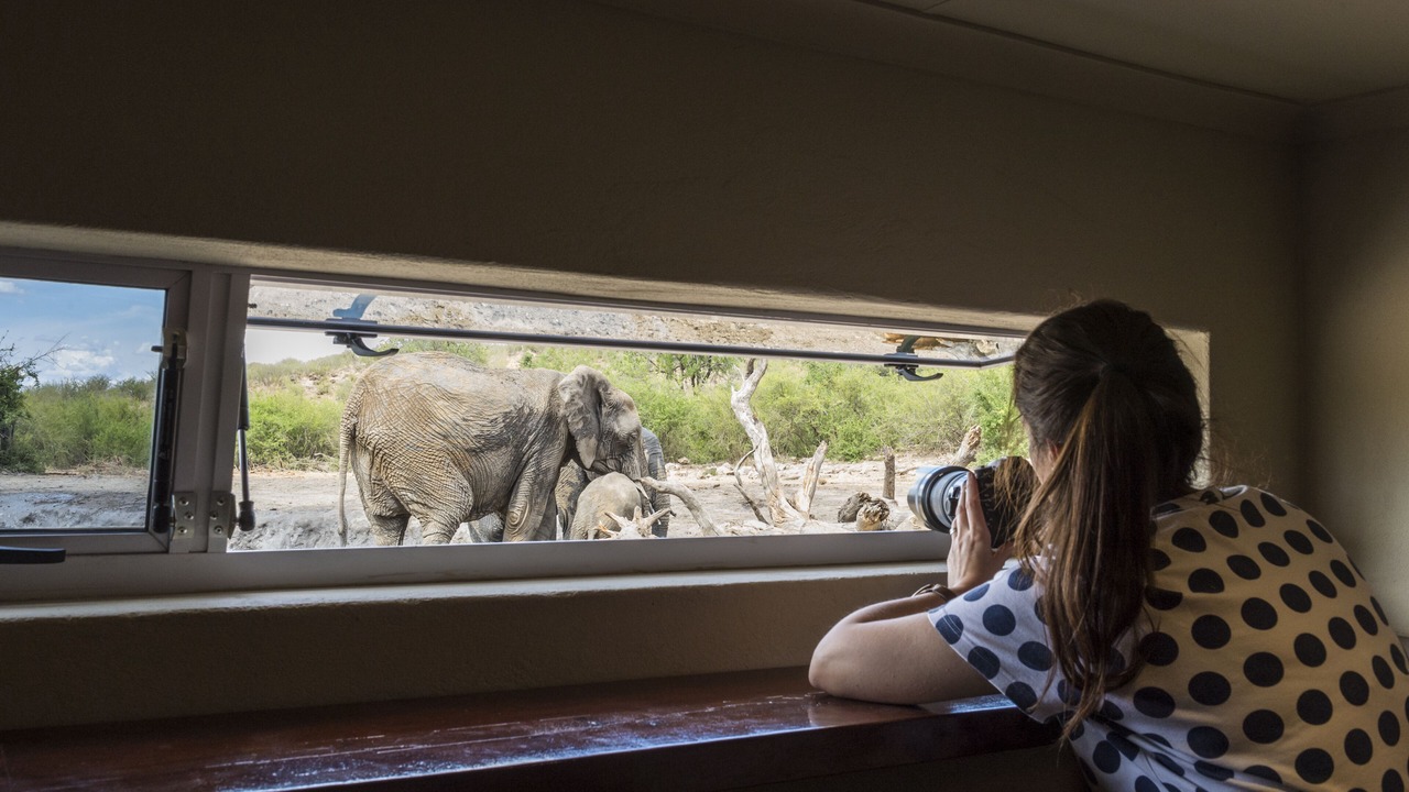 Photo of Others in Madikwe Game Reserve