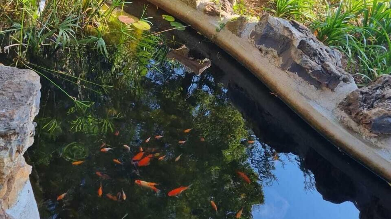 Photo of Outdoor in Kempton Park