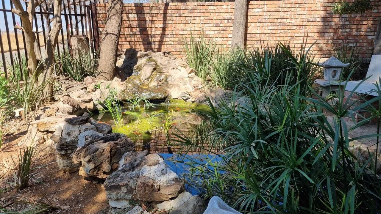 Photo of Outdoor in Kempton Park