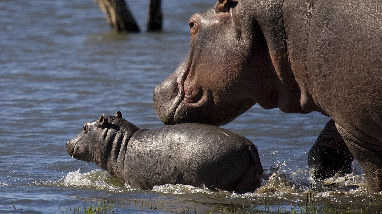 Photo of Others in Buffelspruit