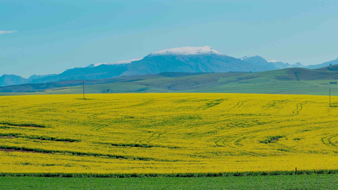 Photo of Outdoor in Caledon