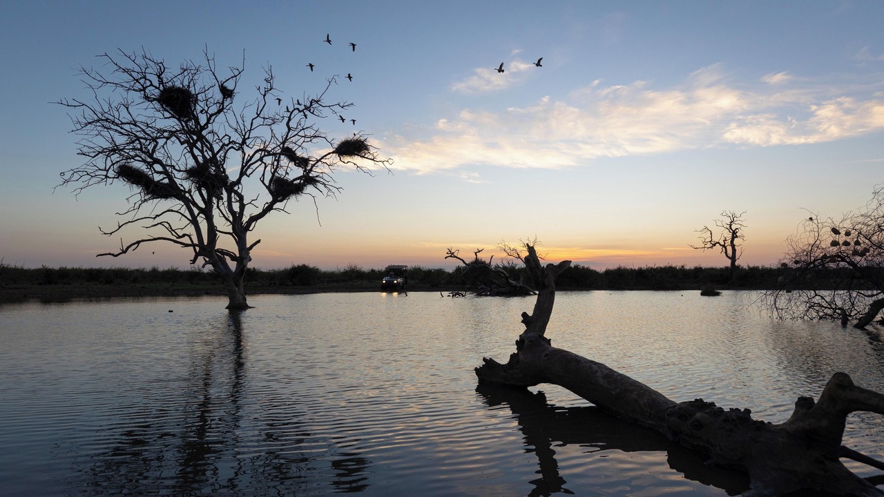 Photo of Outdoor in Madikwe Game Reserve