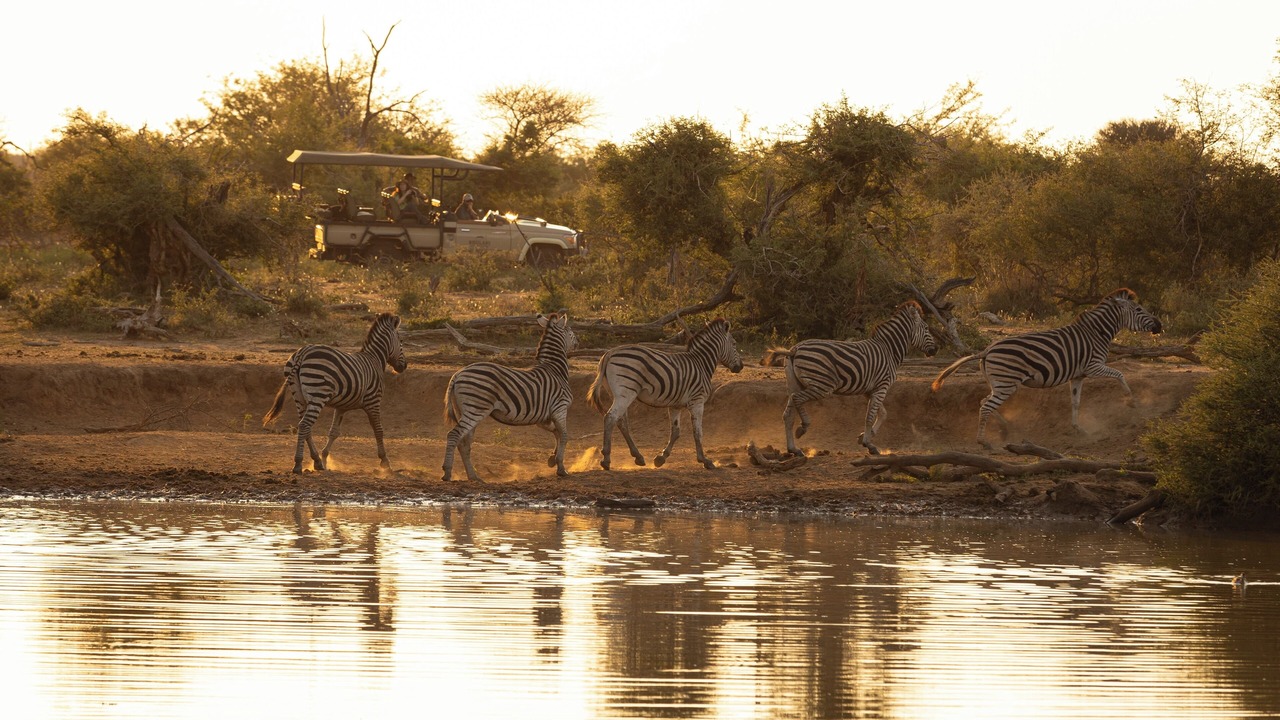 Photo of Others in Madikwe Game Reserve