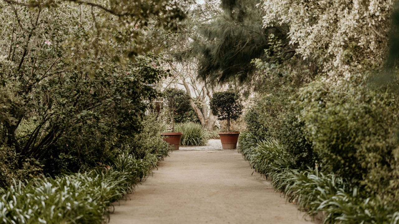 Photo of Outdoor in Stanford