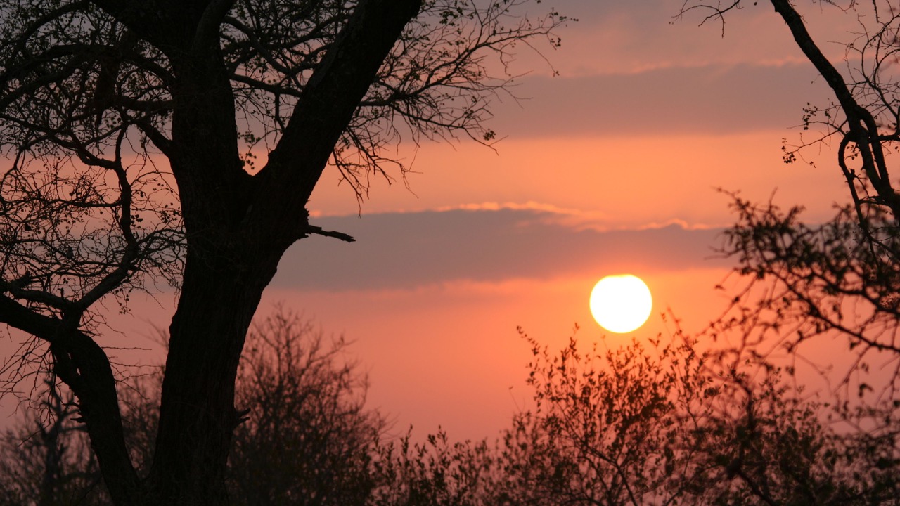 Photo of Others in Maruleng