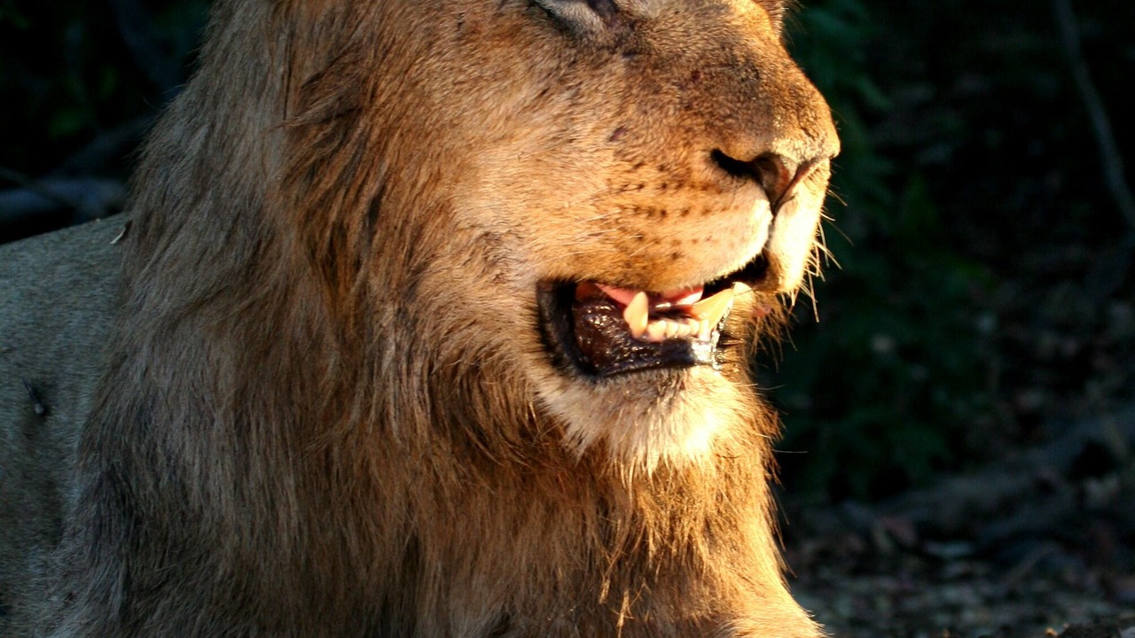 Photo of Others in Maruleng
