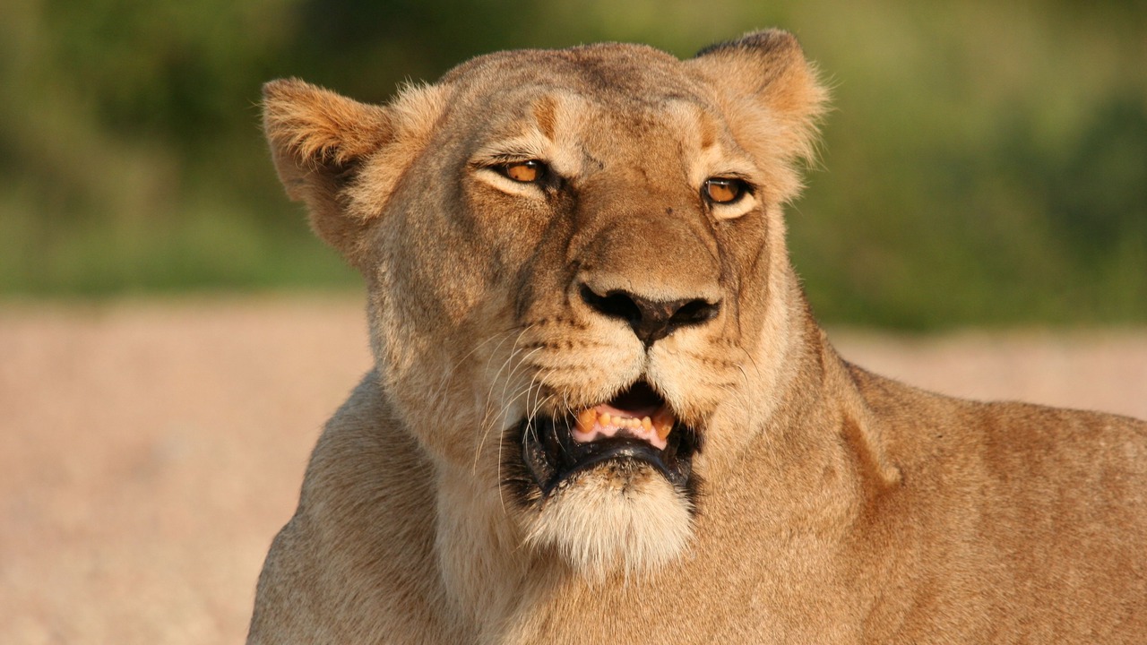 Photo of Others in Maruleng