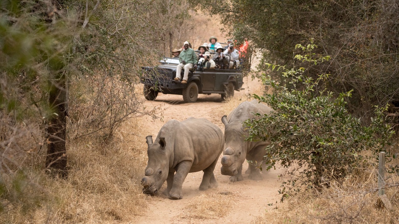 Photo of Others in Hoedspruit