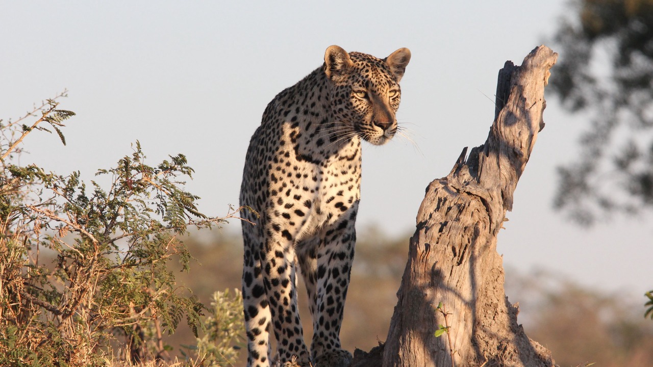 Photo of Others in Jozini